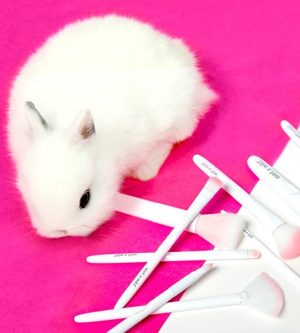 Bunny with brushes
