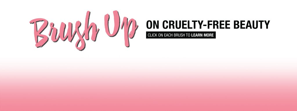 Brush Up on cruelty-free beauty. Click on each brush to learn more