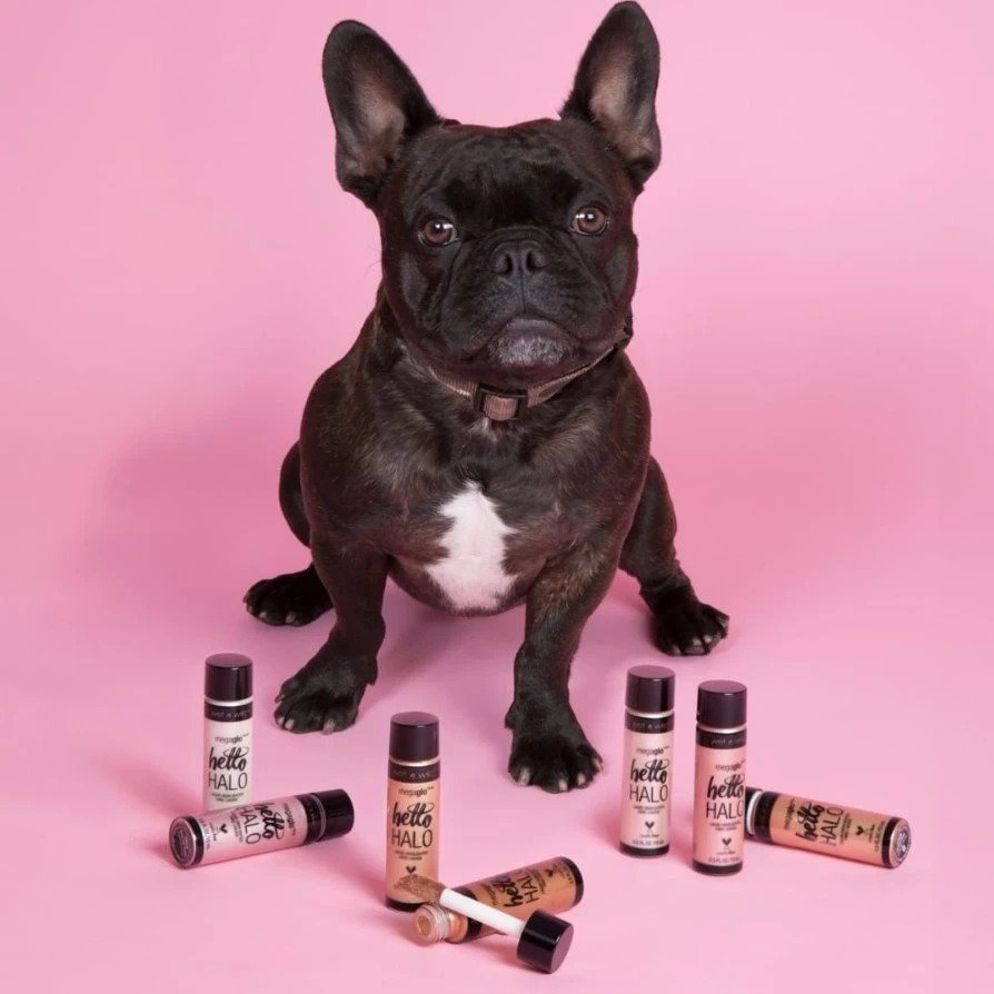 Dog with makeup products